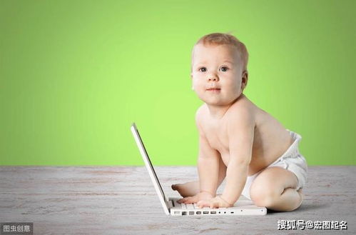 宝宝未出生怎么起名