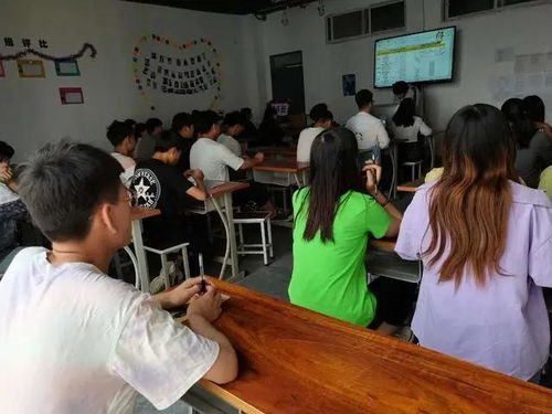 实训团队怎么起名