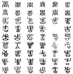 作字辈怎么起名