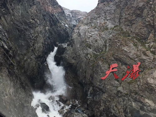 山下火怎么起名字