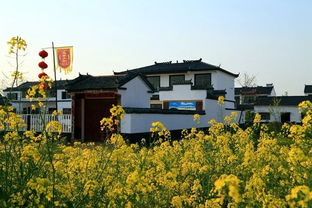 乡村旅游怎么起名