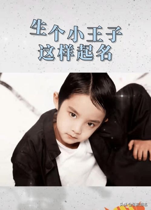王子怎么起名