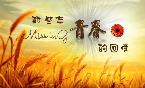 五行缺金与木怎么起名
