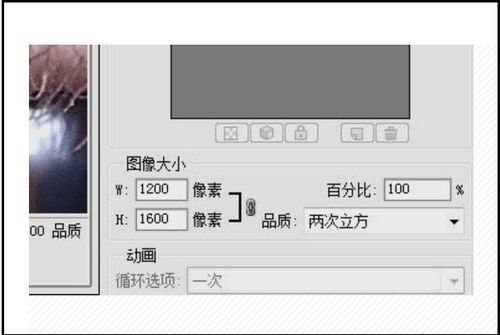 怎么给照片起名 怎么给照片起名
