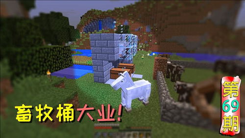 我的世界怎么起名字