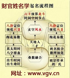 胡怎么起名