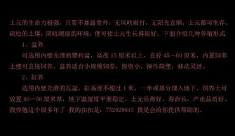 个体户一般怎么起名字