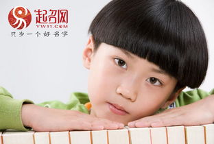 姓程的男孩怎么起名字