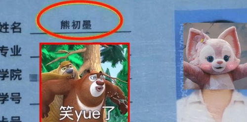 怎么给丽娜熊起名字