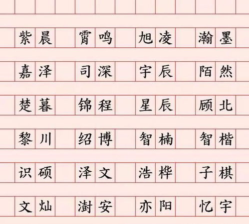 起个名字怎么起名字