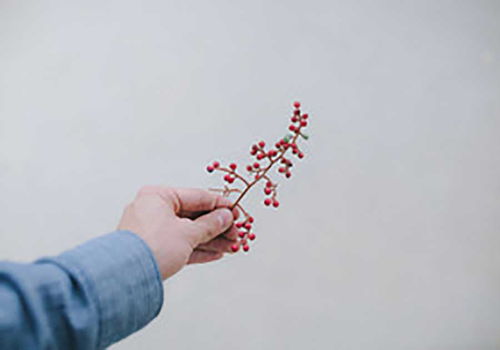 铁怎么起名