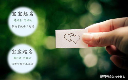 桉怎么起名