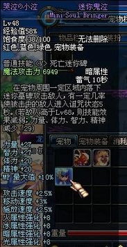 dnf宠物怎么起名