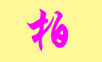 柏怎么起名