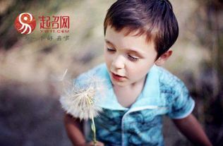 李怎么起名字男孩
