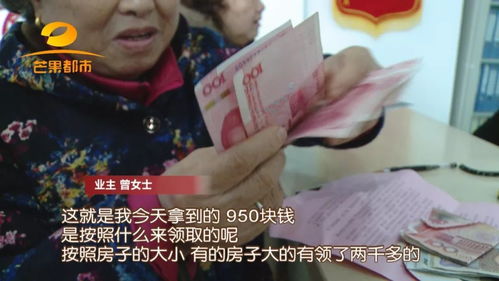 误拔别人2万多斤葱