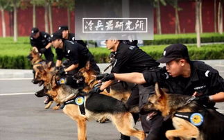 杭州傲娇警犬火出圈
