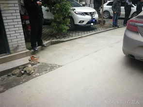 凌晨打电话挪车