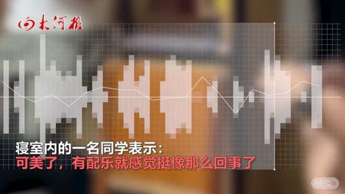 一男寝全员上岸985