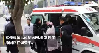 诈骗园区获救后冷漠