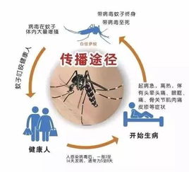 北方省份已出现白纹伊蚊(白纹伊蚊分布我国哪个省)