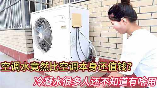 空调冷凝水泡发粉丝(空调冷凝水很脏是什么原因)