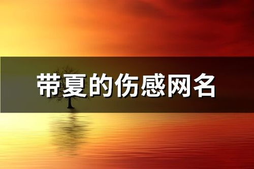 伤感的网名有哪些(伤感的网名有哪些可以用的)