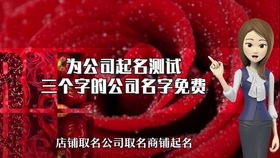 二字公司名称大全简单大气(2字公司名字大全)