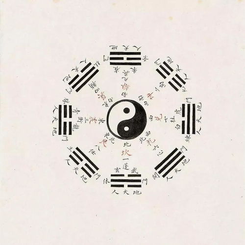周易八字算命网(周易八字算命入门知识)