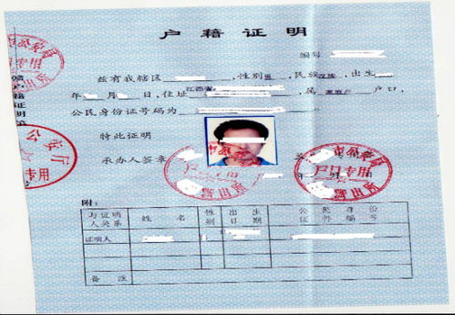 全国户籍姓名查询系统入口(中国户籍网姓名查询身份)