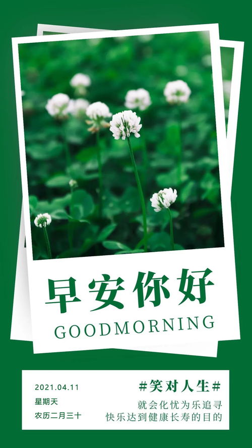 励志语录经典短句(幽默励志语录经典短句)