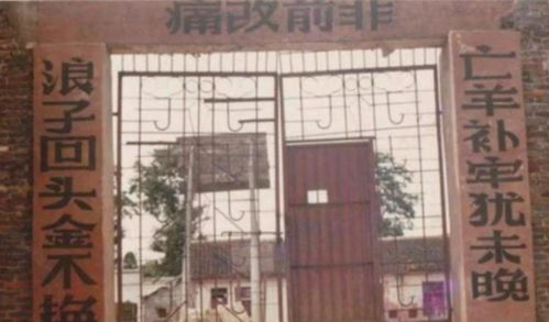 算卦会反噬自己吗(算卦的会不会作法害人)