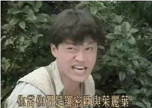 63岁马景涛一个多月在3景区“打工”