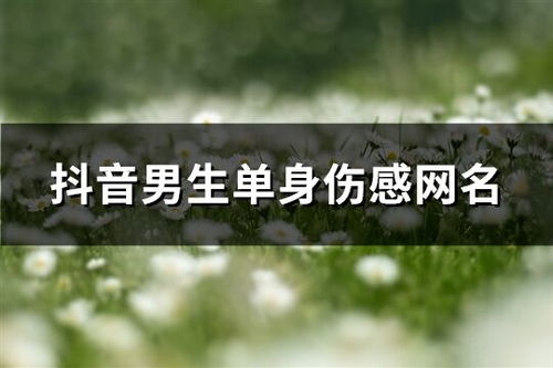 伤感一点的网名(一些伤感的网名)