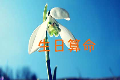 超准的农历生日算命(农历生日时辰免费算命)