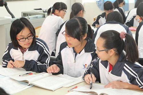 小学老师被调去教高中：压力很大(小学老师往初中调)