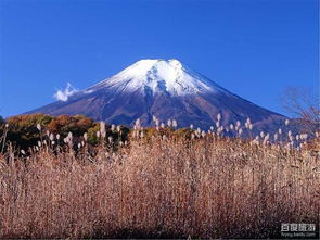 日本公布富士山喷发模拟画面(日本富士山喷发后果)