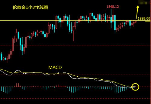 股指期货震荡上行 IH主力合约涨0.66%