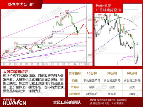 期货公司观点汇总一张图：12月13日农产品（棉花、豆粕、白糖、玉米、鸡蛋、生猪等）